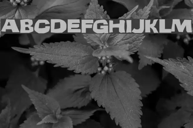 Teenage Delinquent Font examples