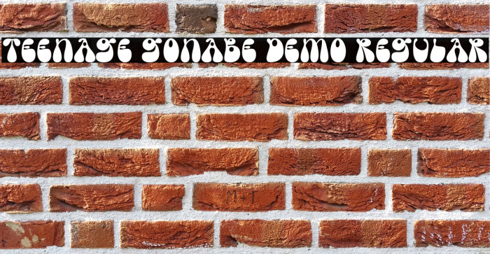 Teenage Gonabe Demo Regular Font examples