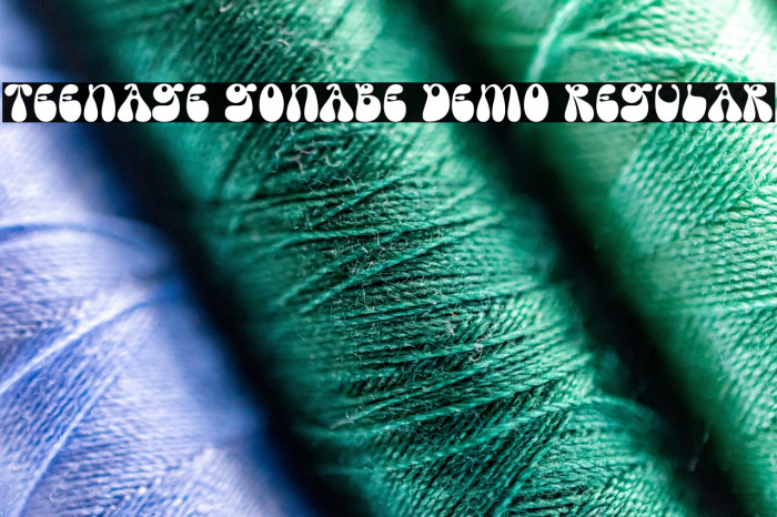Teenage Gonabe Demo Regular Font examples