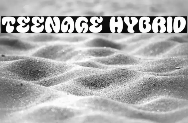 Teenage Hybrid フォント examples