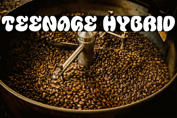 Teenage Hybrid Example 2