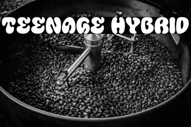 Teenage Hybrid フォント examples