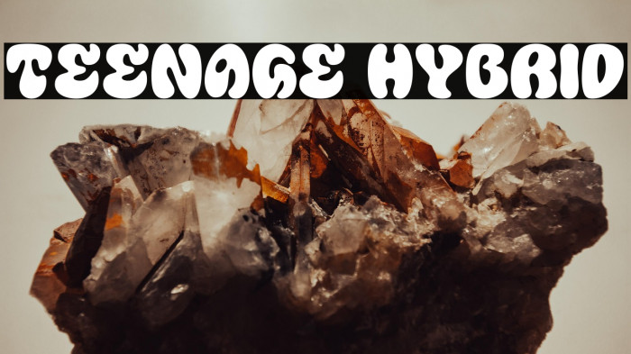 Teenage Hybrid Example 3