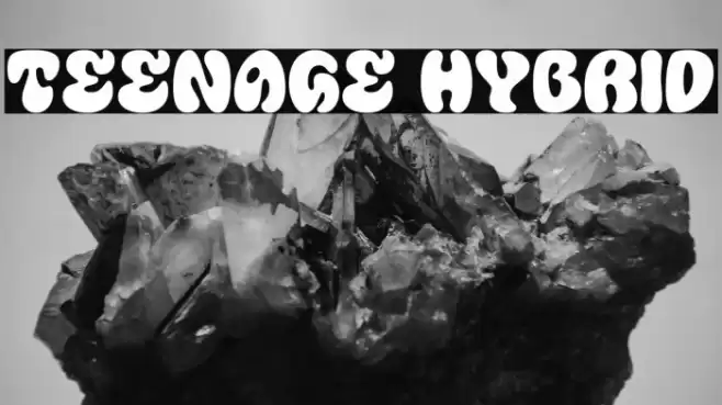 Teenage Hybrid フォント examples