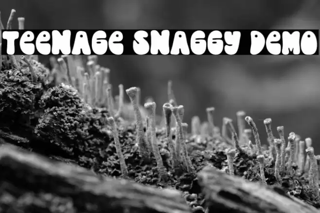Teenage Snaggy Demo Fuentes examples