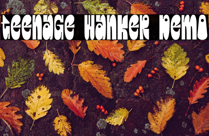 Teenage Wanker Demo Example 3