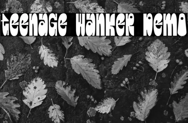 Teenage Wanker Demo फ़ॉन्ट examples