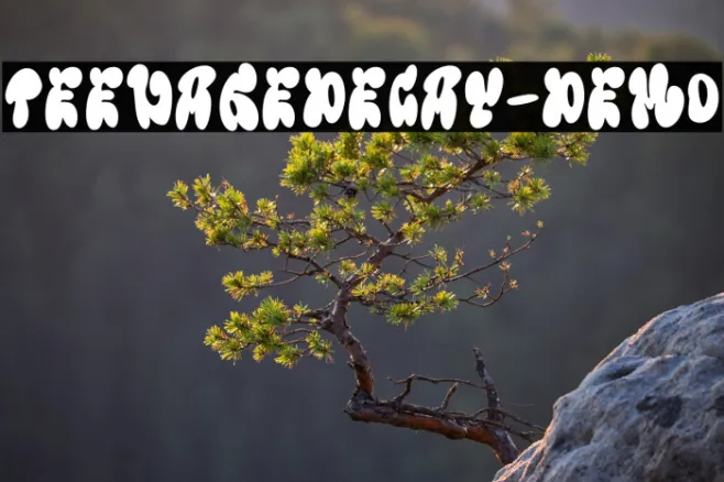 TeenageDecay-Demo Example 1