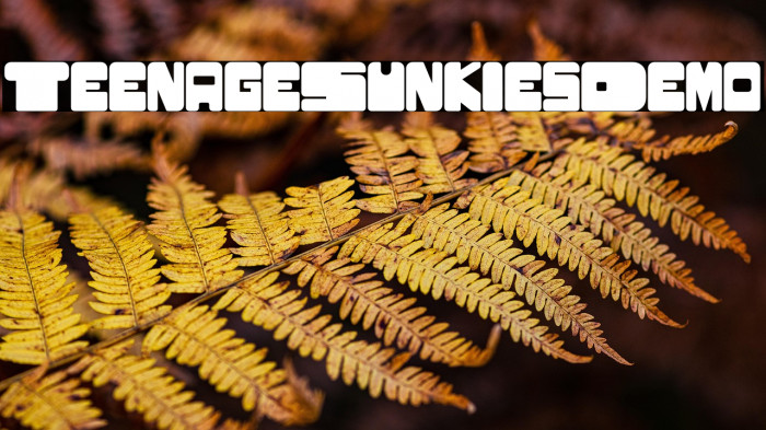 TeenageSunkies-Demo Example 2