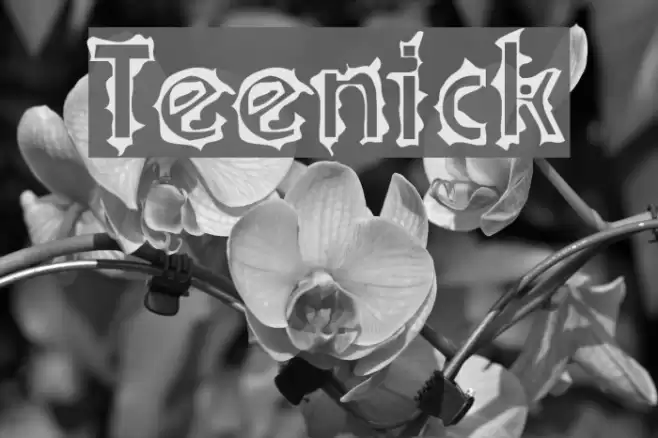 Teenick Polices examples