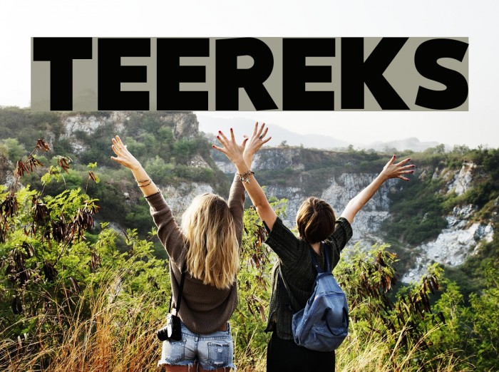 Teereks Font examples