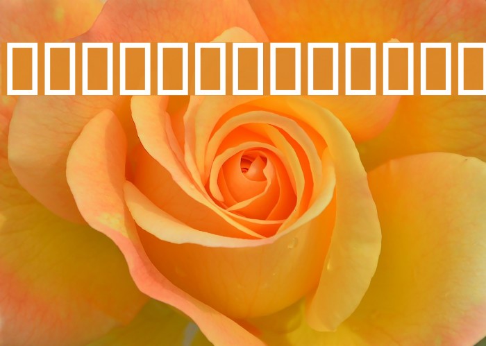 Tefl Font examples