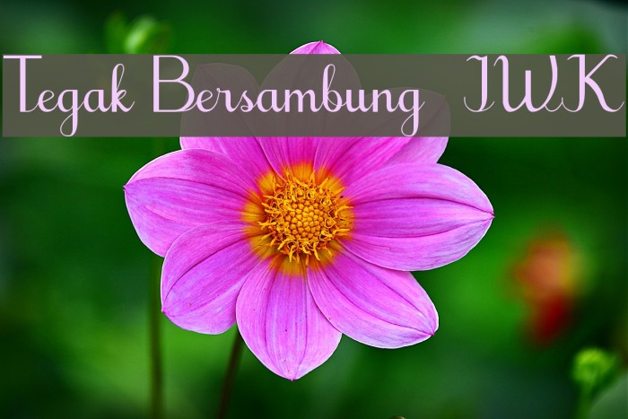 Tegak Bersambung_IWK Font examples