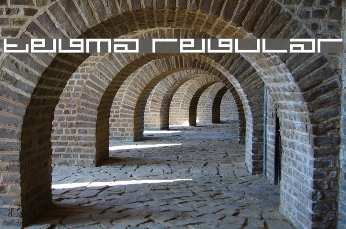 Tegma Regular Font examples