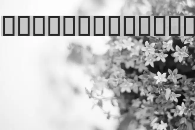 Tehraan Font examples