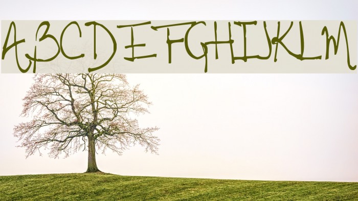 Tehzeta Font examples
