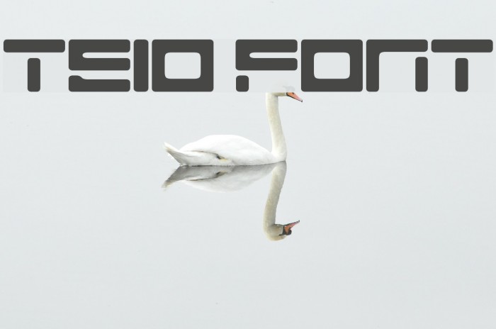 Teio Fonte examples