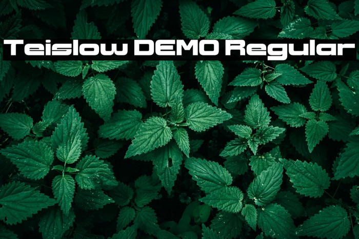 Teislow DEMO Regular Example 1