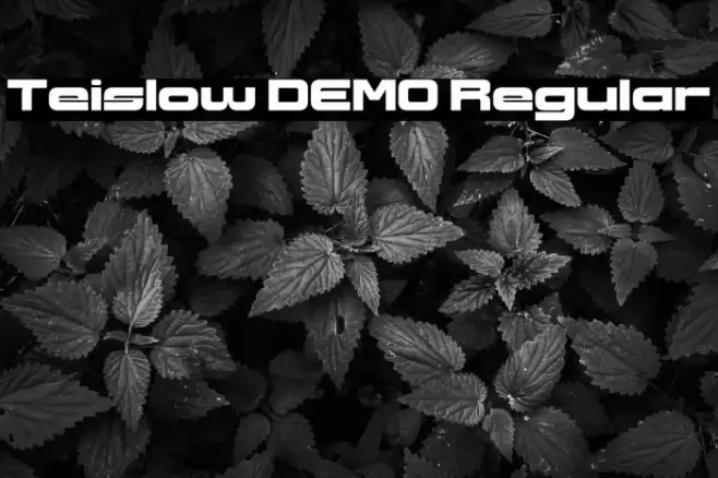 Teislow DEMO Regular Font examples