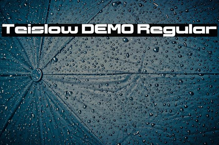 Teislow DEMO Regular Example 3