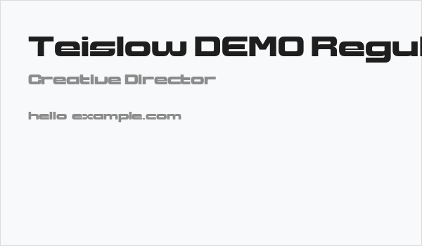 Teislow DEMO Regular Business Card