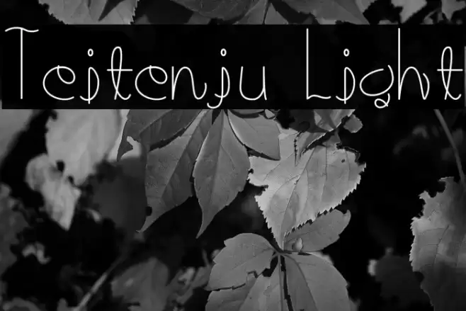 Teitenju Light 字体 examples