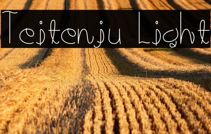 Teitenju Light Example 2