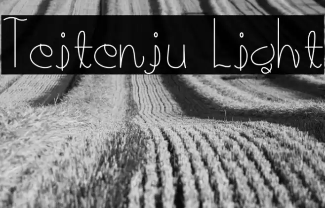 Teitenju Light 字体 examples