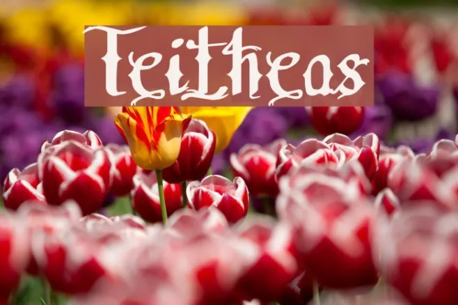 Teitheas Example 1