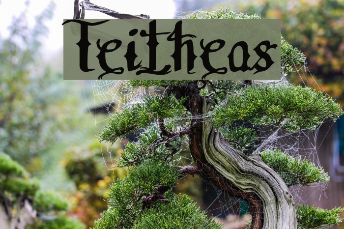 Teitheas Font examples