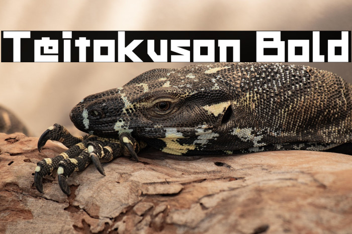 Teitokuson Bold Example 3