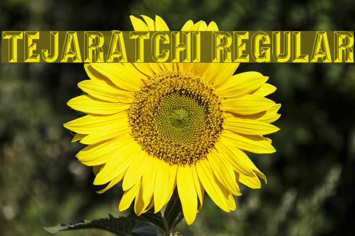 Tejaratchi Regular Font examples