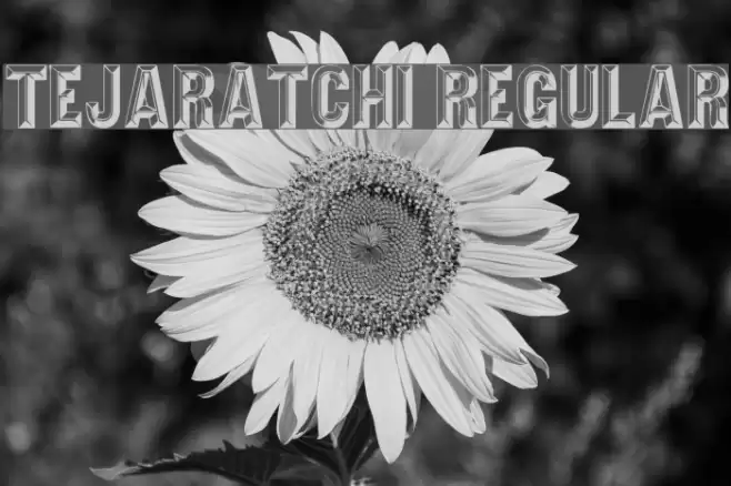 Tejaratchi Regular Font examples