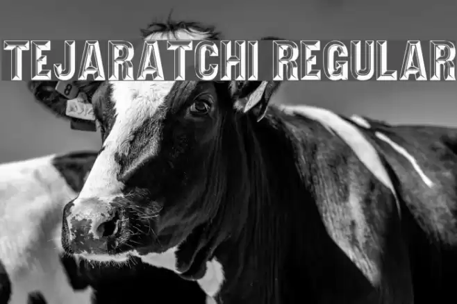 Tejaratchi Regular Font examples