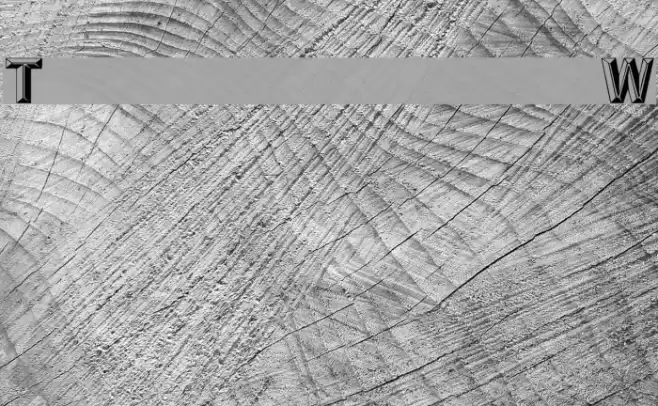 Tejaratchi Wd Font examples