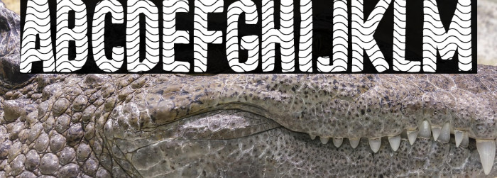 Tejero Waves Club Example 1