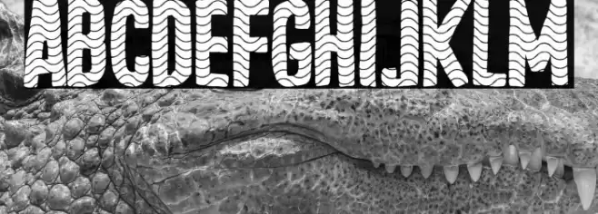 Tejero Waves Club Font examples