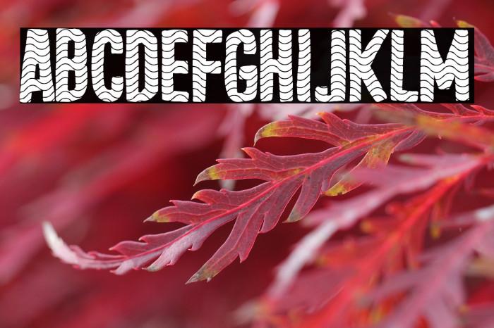 Tejero Waves Club Example 2