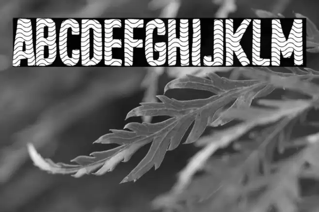 Tejero Waves Club Font examples