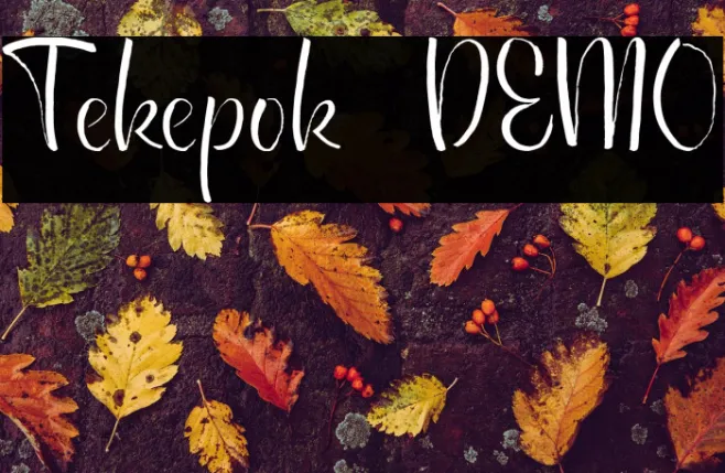 Tekepok DEMO Example 2