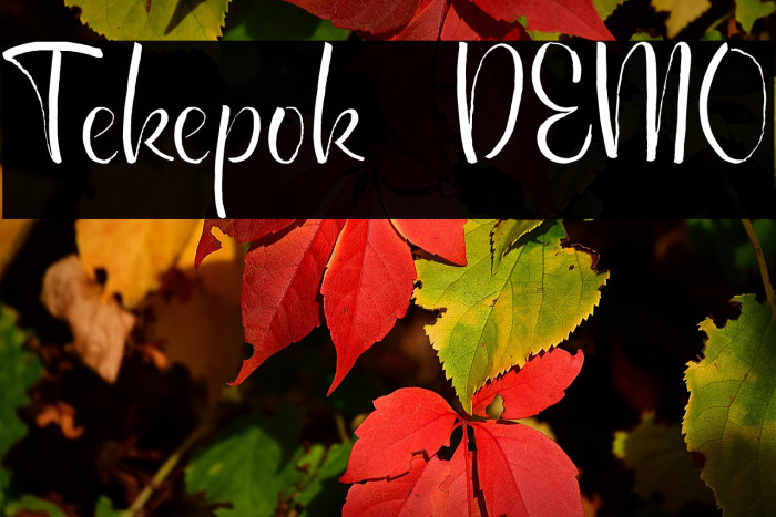 Tekepok DEMO Example 3