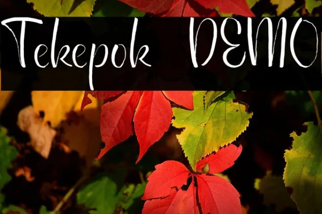 Tekepok DEMO Example 3