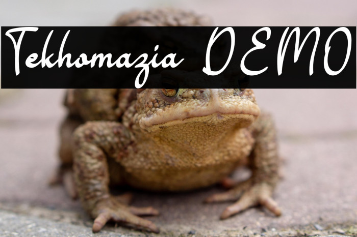 Tekhomazia DEMO Example 2