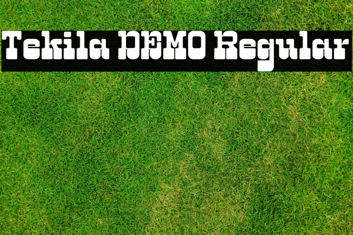 Tekila DEMO Regular Example 1