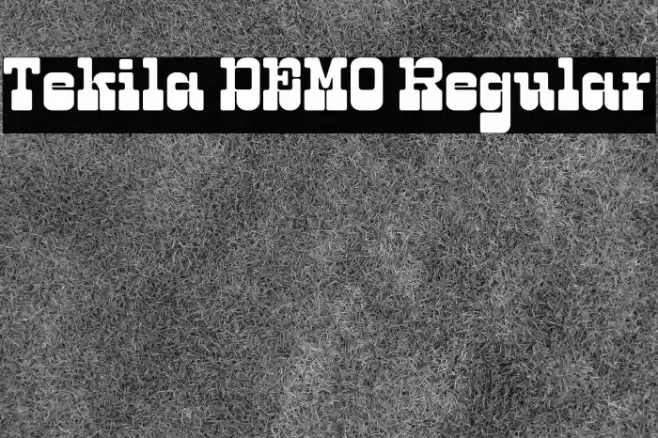 Tekila DEMO Regular Caratteri examples