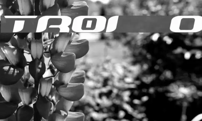 TeknikohlRemix01 Oblique Font examples