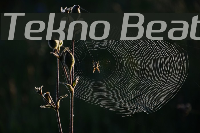 Tekno Beat Font examples