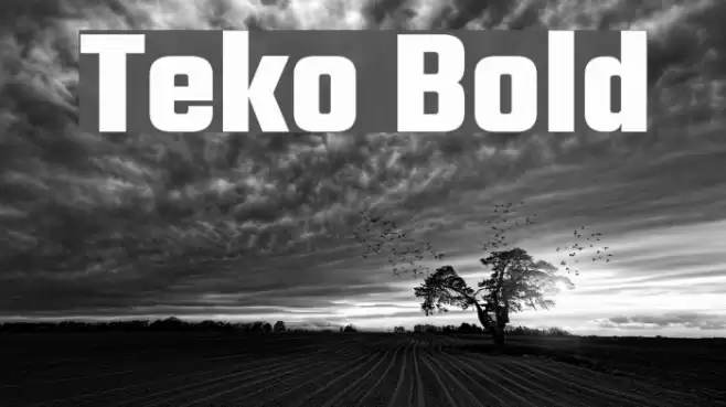 Teko Bold Font examples