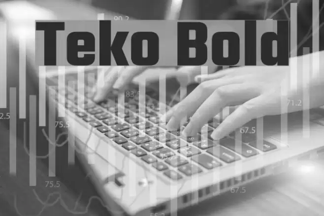 Teko Bold Font examples