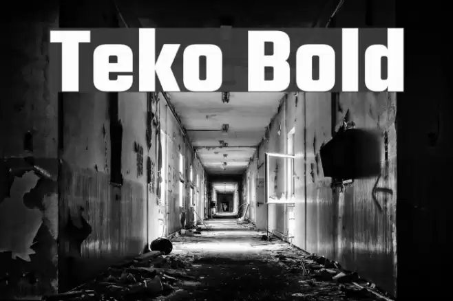 Teko Bold Font examples